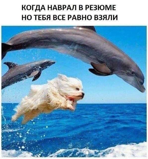 Привет, труженники! 🐝
Сегодня вас ждут новые вакансии!
И чтобы откликнуться на них врать в резюме совсем не обязательно 🤗 | Сетка — социальная сеть от hh.ru