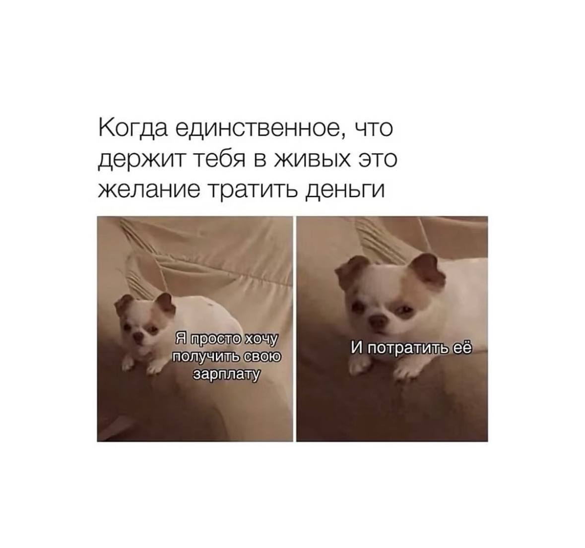 Поднимаем настроение! 
Ищите работу в Чебоксарах?
📞Узнать актуальные вакансии вы можете позвонив или написав по телефону:
8 (937) 370-78-06 | Сетка — социальная сеть от hh.ru