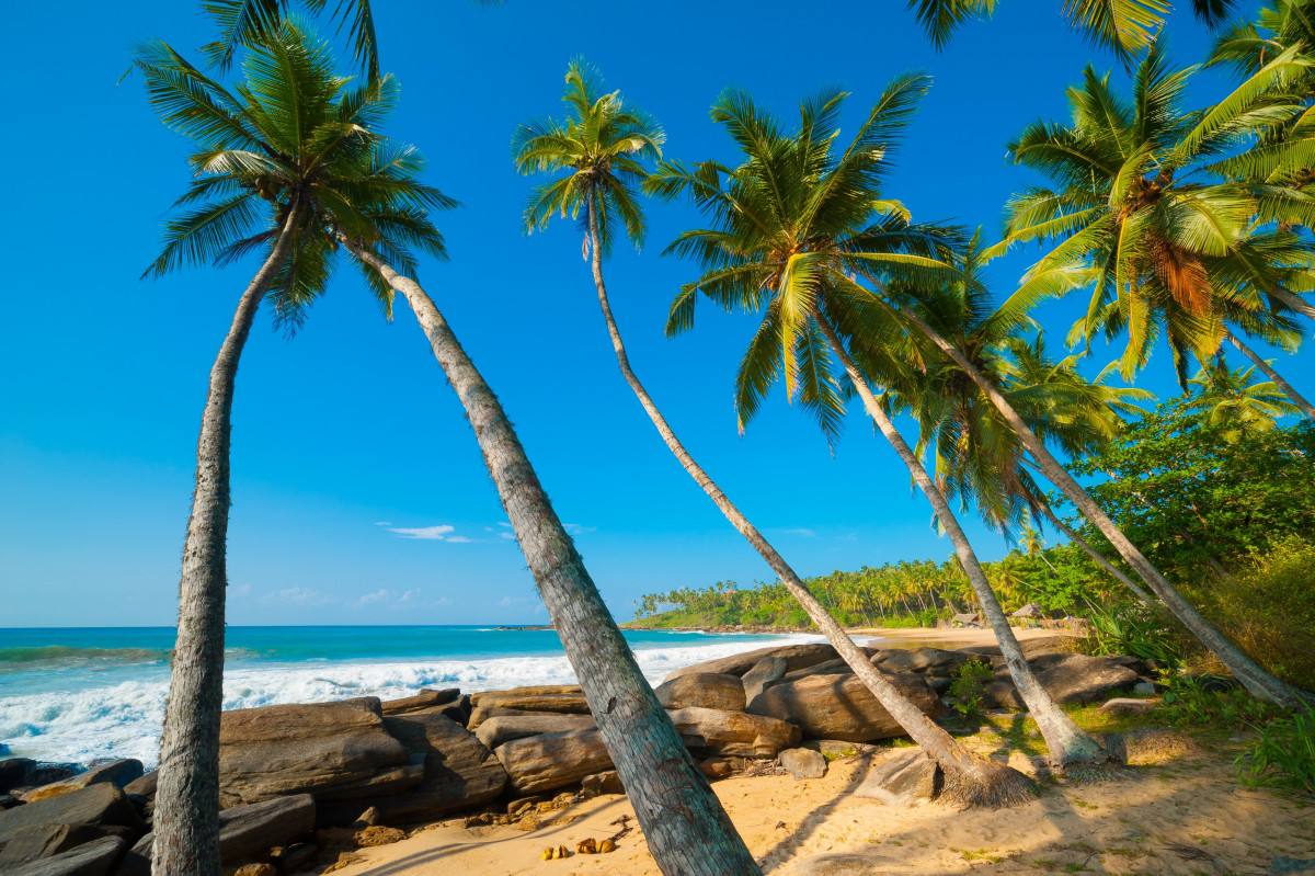 #рит #рекламники 
#рекламникШри
Шри-Ланка от ТО Русский Экспресс
Рекламный тур
11 дней/ 10 ночей
19.04.2025 – 29.04 | Сетка — социальная сеть от hh.ru