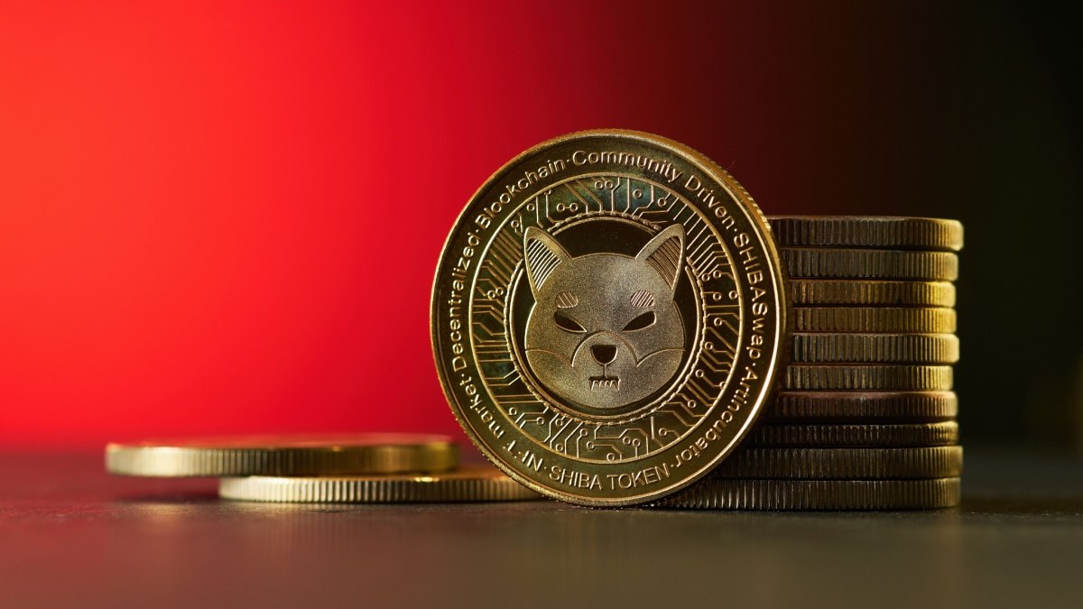 SHIB — наш биткоин, считают в команде мемкоина Shiba Inu | Сетка — социальная сеть от hh.ru