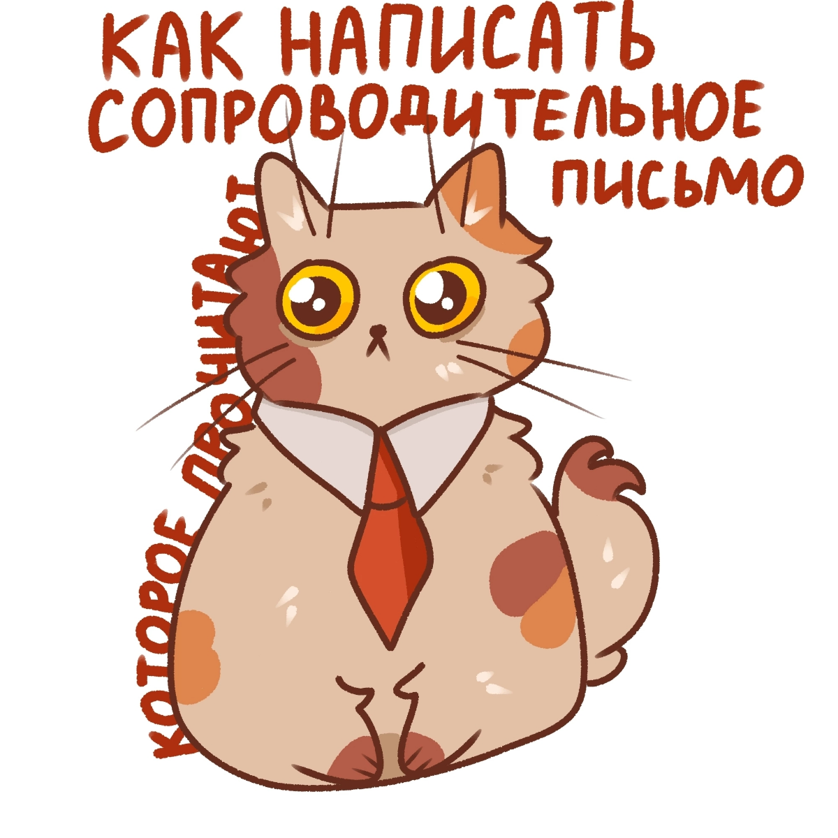 Как написать сопроводительное письмо, которое прочитают | Сетка — социальная сеть от hh.ru