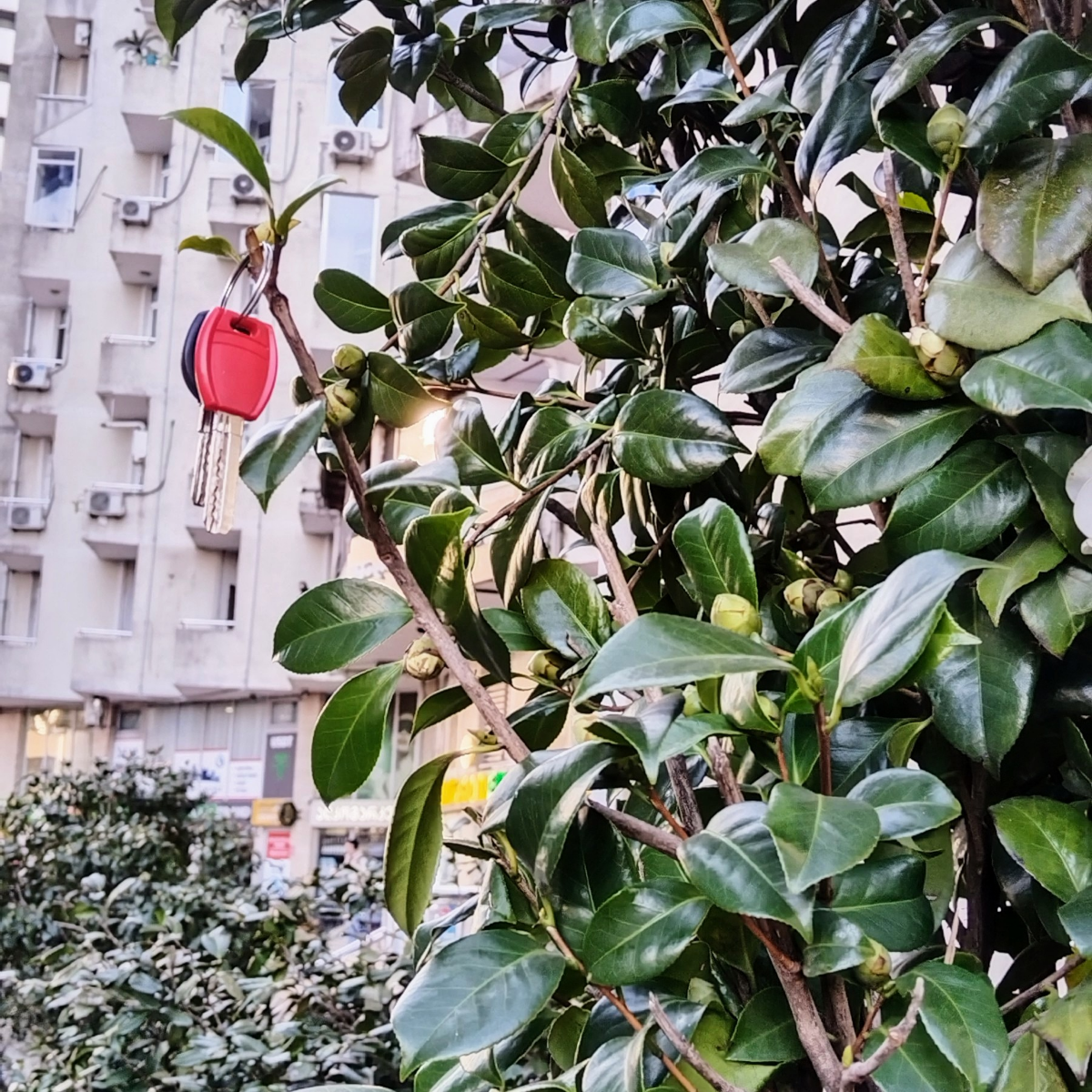 Чем занимаются эти ваши продакты? | Сетка — социальная сеть от hh.ru