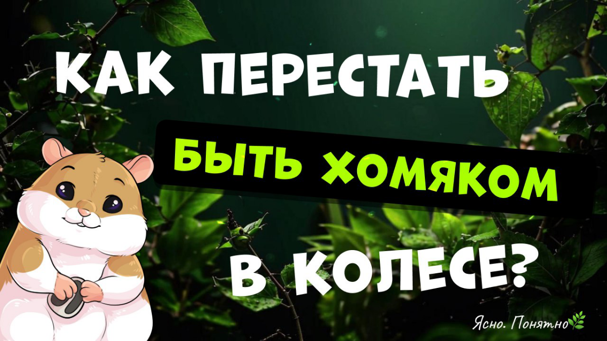 Как выпрыгнуть из колеса и не вернуться? | Сетка — социальная сеть от hh.ru