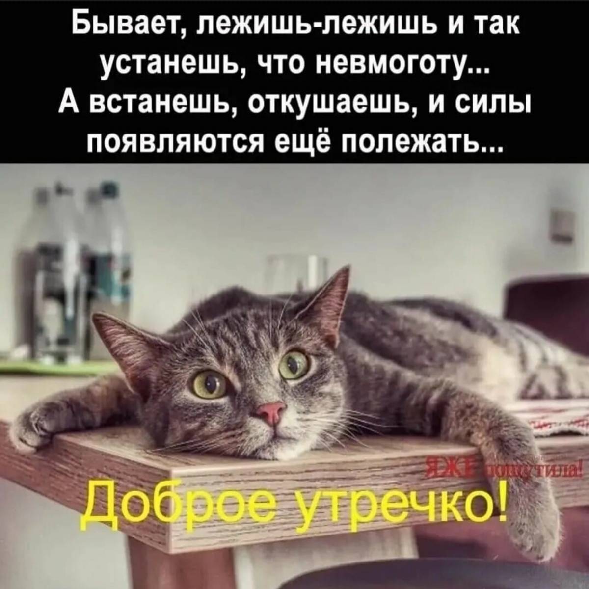 Василий Матвейчук