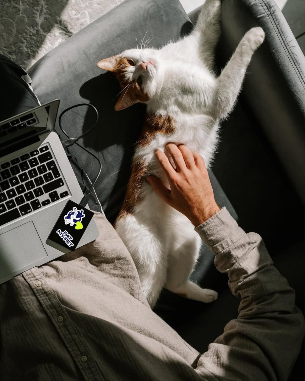 Дизайн упаковки наполнителя для лотков домашних животных Pat My Pet от Funky Agency
Так как рынок насыщен конкурентами, большинство из которых транслируют идеи заботы о питомцах, перед агентством стоя... | Сетка — социальная сеть от hh.ru