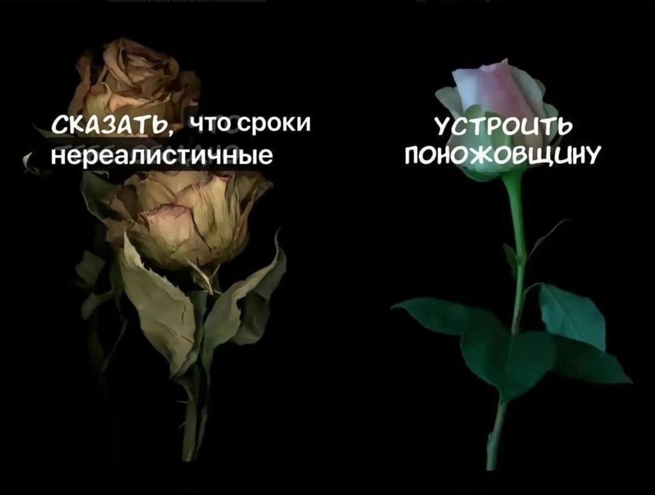 Вайб на середину недели примерно вот такой. В ближайшее время наверное слетаю куда-то сменить обстановку и передохнýть
А у вас как дела?
@maratyus | Сетка — социальная сеть от hh.ru