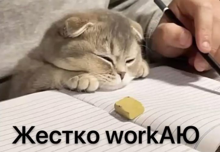 SMMщик, найдись! | Сетка — социальная сеть от hh.ru