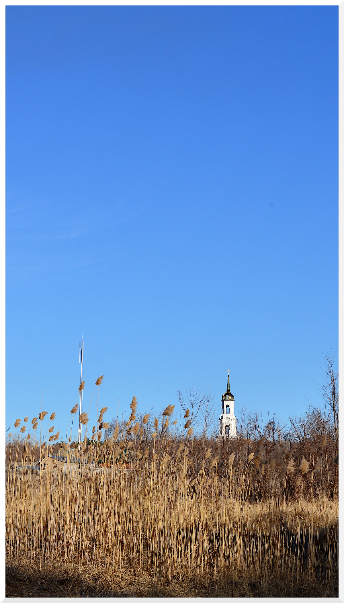 Пришла весна. Как приятно погулять под весенним синим небом погожим днём, с камерой 😋  
#slr #spring #photo | Сетка — социальная сеть от hh.ru