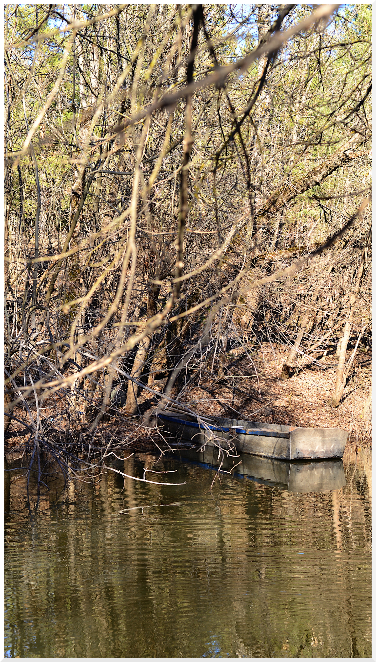 Пришла весна. Как приятно погулять под весенним синим небом погожим днём, с камерой 😋  
#slr #spring #photo | Сетка — социальная сеть от hh.ru