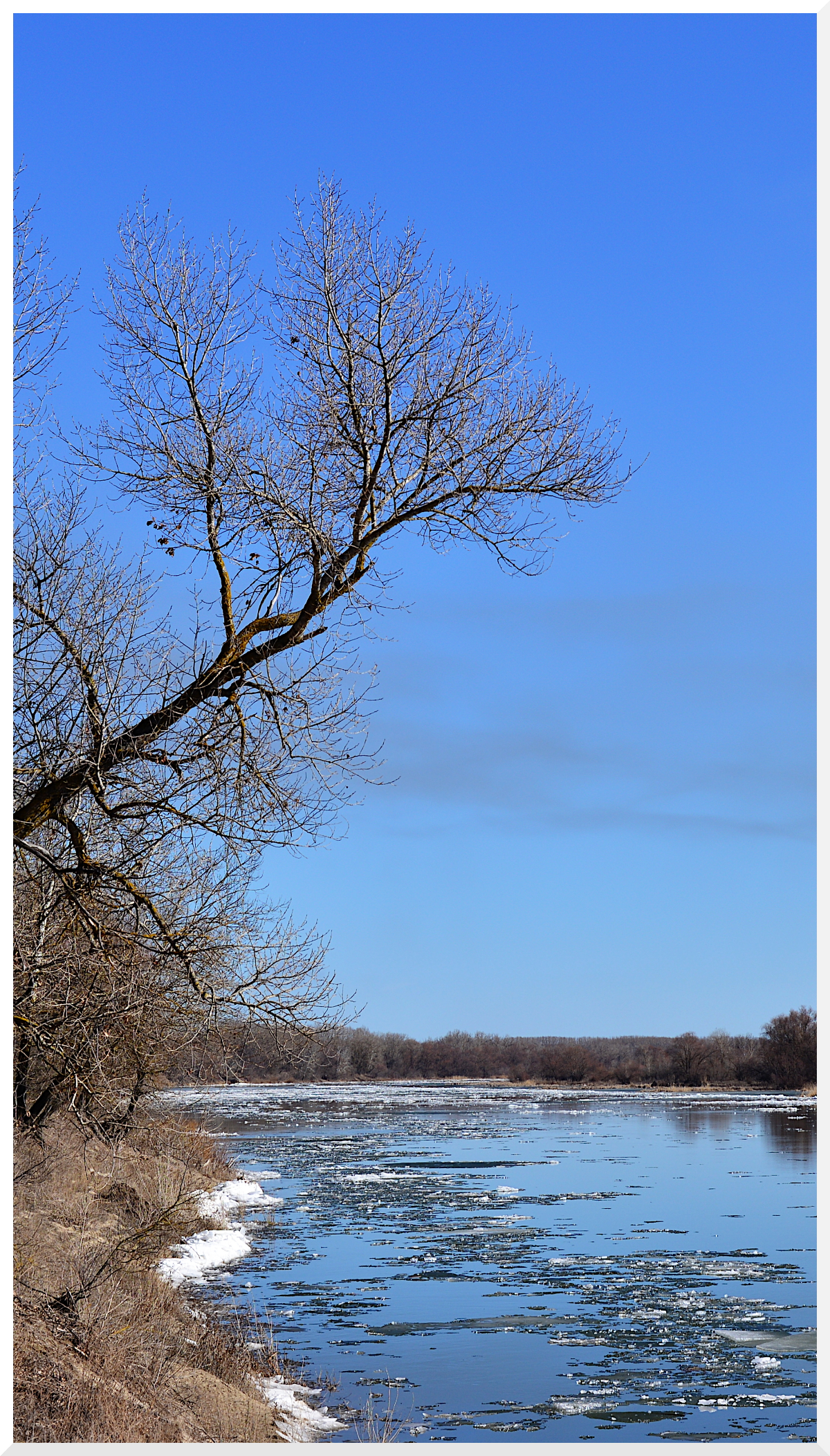 Пришла весна. Как приятно погулять под весенним синим небом погожим днём, с камерой 😋  
#slr #spring #photo | Сетка — социальная сеть от hh.ru