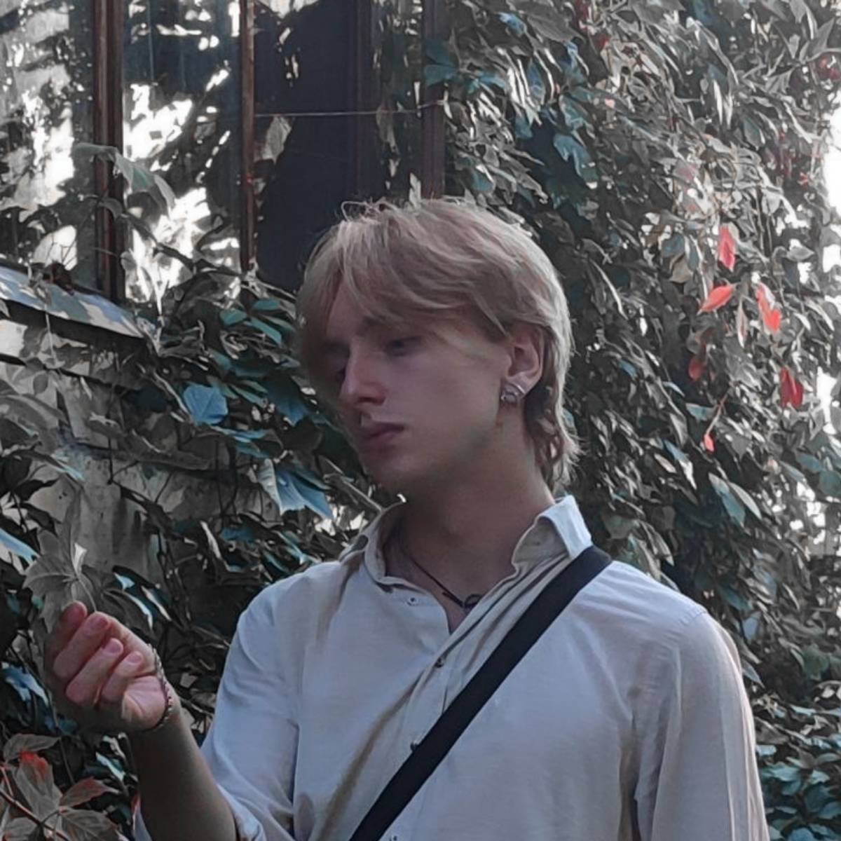 Александр Бердников