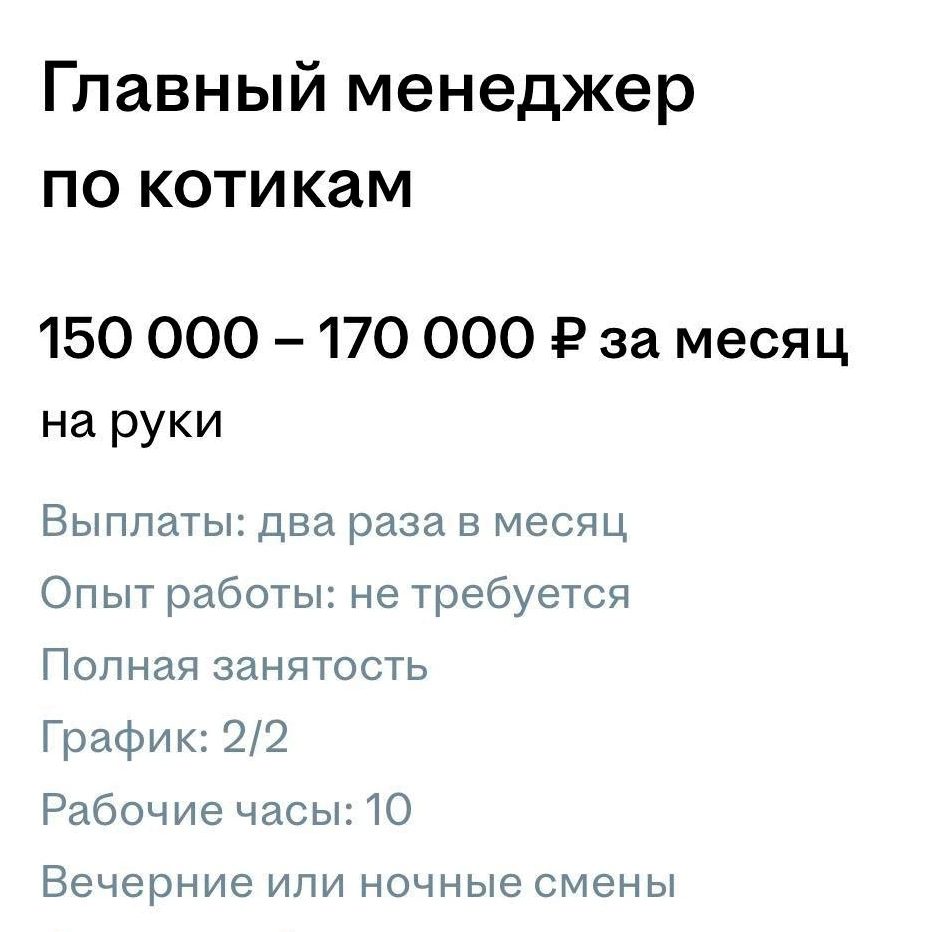 Вторая работа моей мечты❤️
Первая, конечно, HR😁 | Сетка — социальная сеть от hh.ru