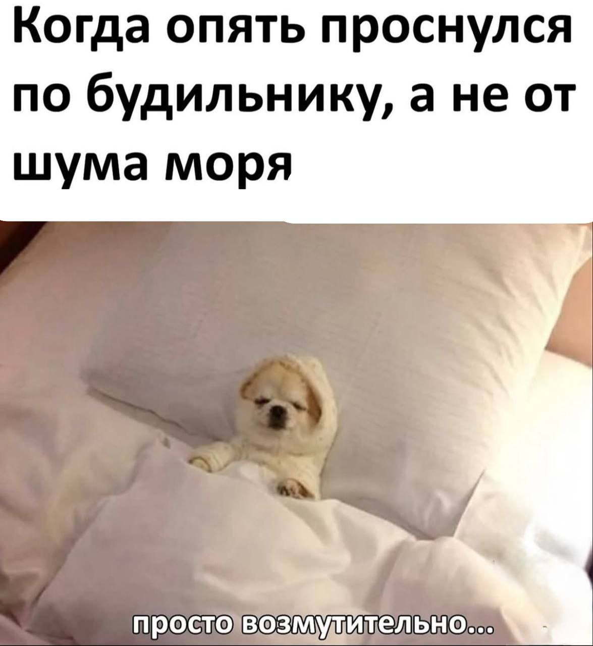 Почему и за што 😴 | Сетка — социальная сеть от hh.ru