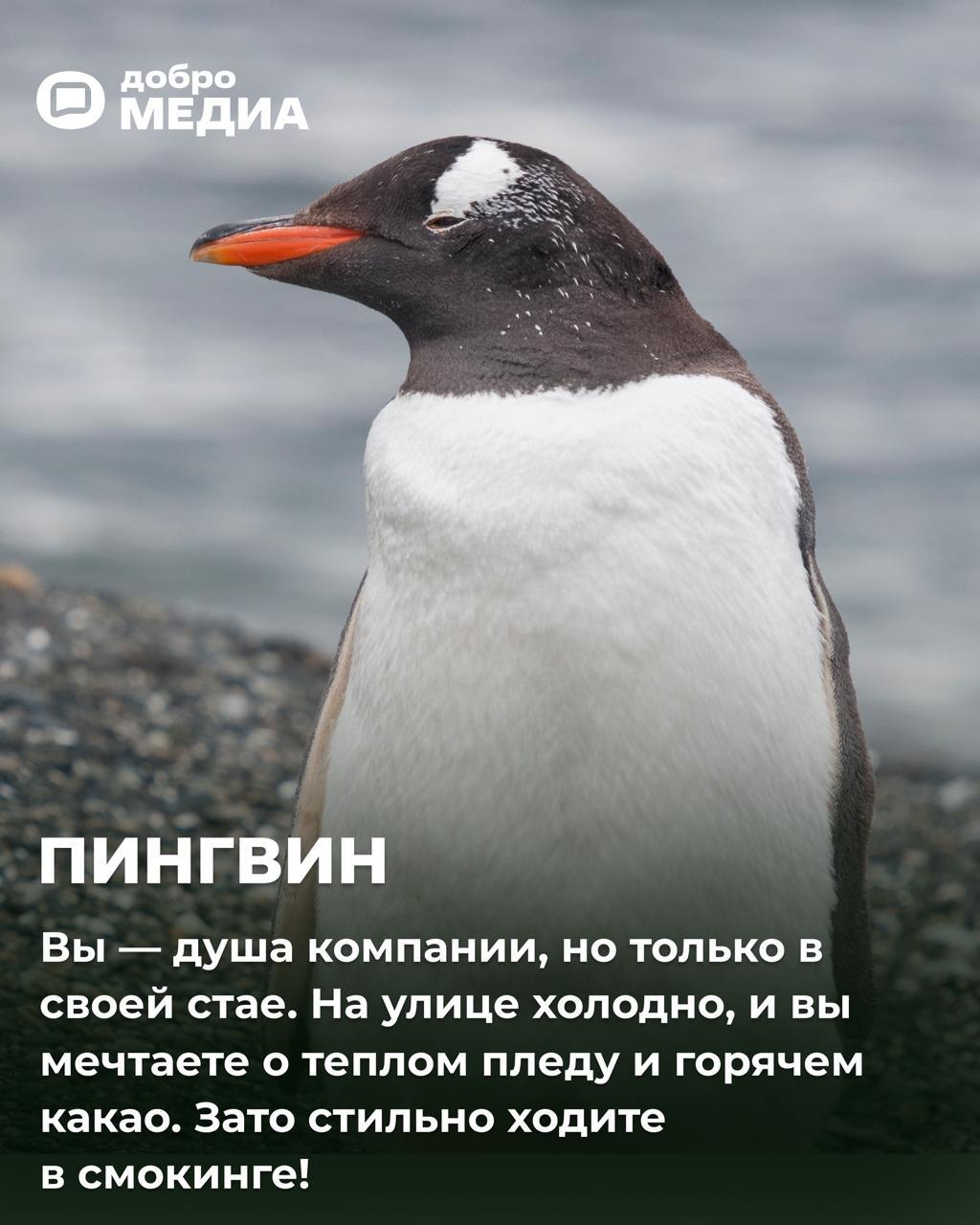 Какая птичка вы сегодня?
Оформить подписку на Молодость | Сетка — социальная сеть от hh.ru