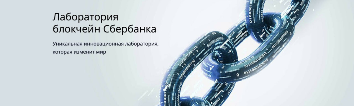 🏦 Сбер vs Блокчейн: Как банк стал IT-гигантом? Личный взгляд
🥸Привет, друзья! Сегодня хочу обсудить, как Сбер, который еще недавно ассоциировался у нас с очередями и бабушками у терминалов, превратилс... | Сетка — социальная сеть от hh.ru