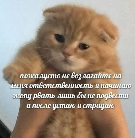 Приглашаю в чат | Сетка — социальная сеть от hh.ru