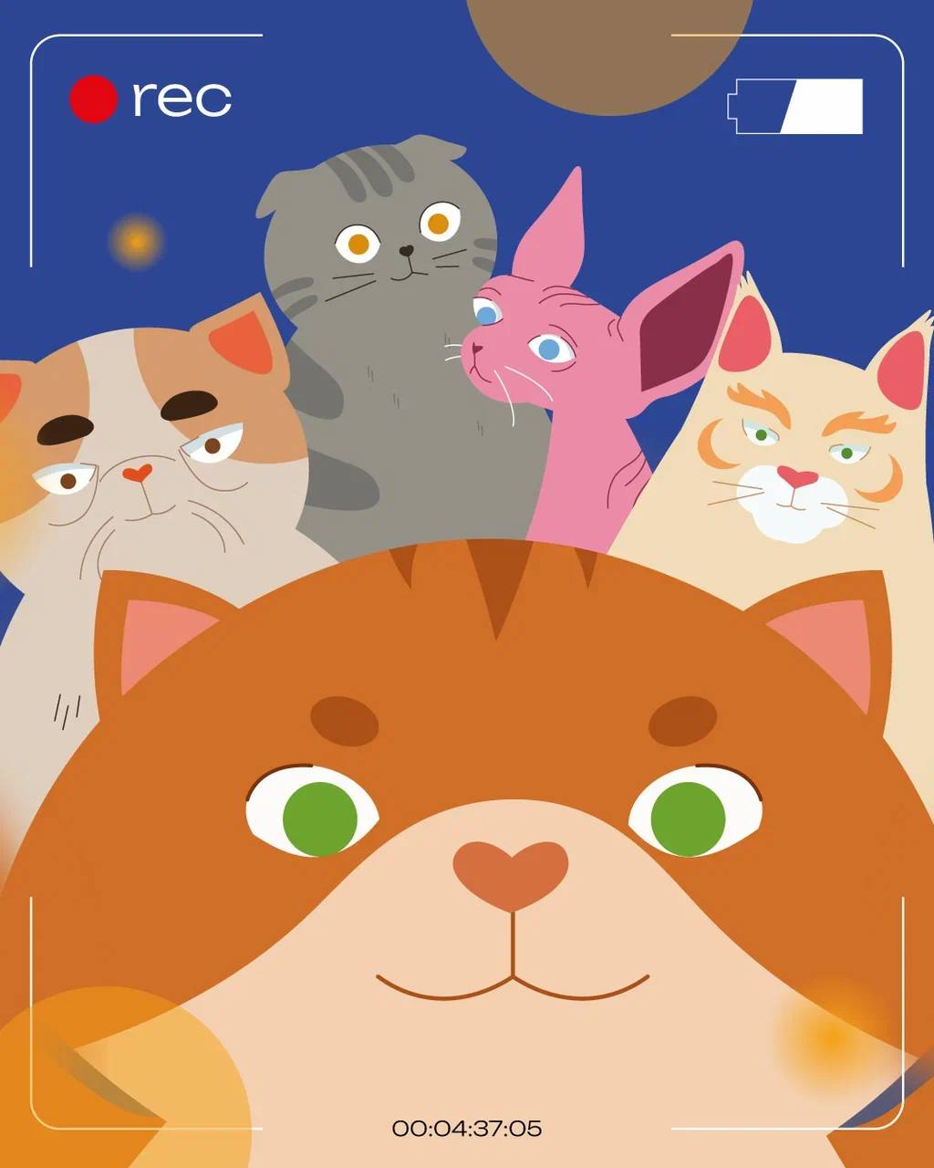 Разработка дизайна упаковки для производителя кормов для животных Mysterious 😻
⠀
Основная идея концепции - использование ярких и эмоциональных иллюстраций, представляющих котов в разнообразных забавны... | Сетка — социальная сеть от hh.ru