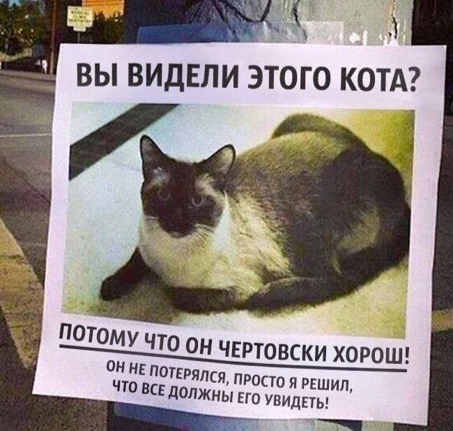 Недавно видела в сетке вопрос про "хочется крупную кампанию с максимальными охватами и интересом, а бюджет 1000 руб". 
Вот идея)) 
 
Внесу в свое портфолио в качестве кейса :D | Сетка — социальная сеть от hh.ru