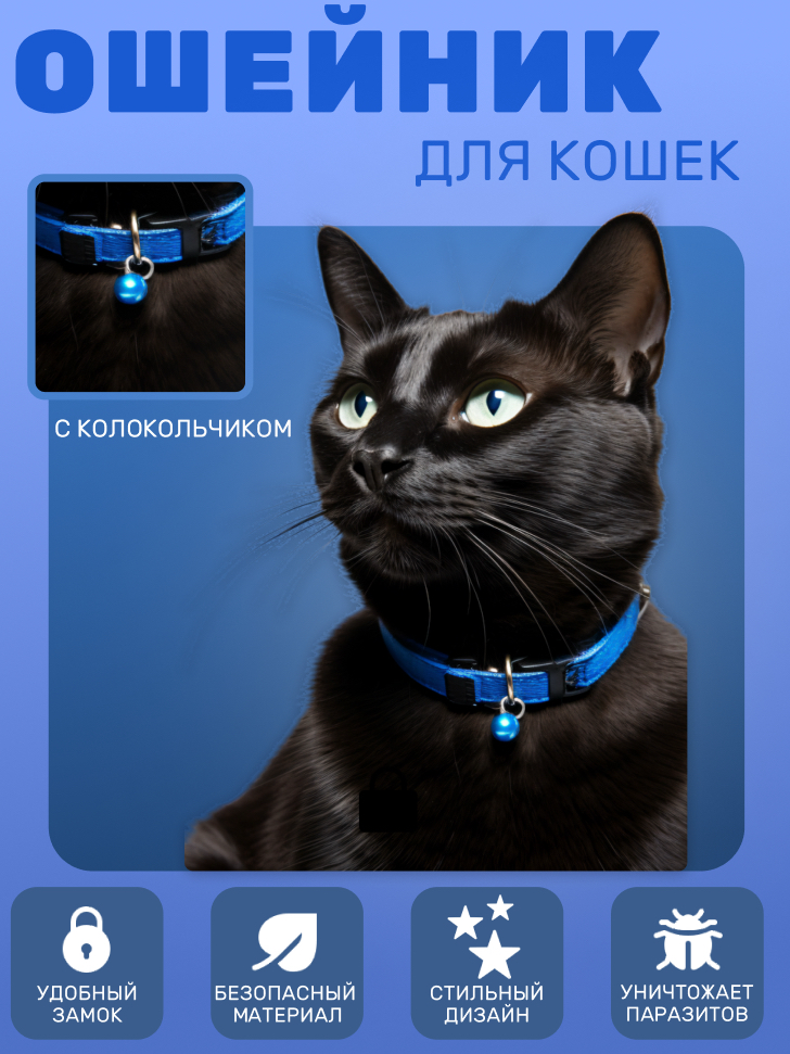 Инфографика маркетплейс | Сетка — социальная сеть от hh.ru