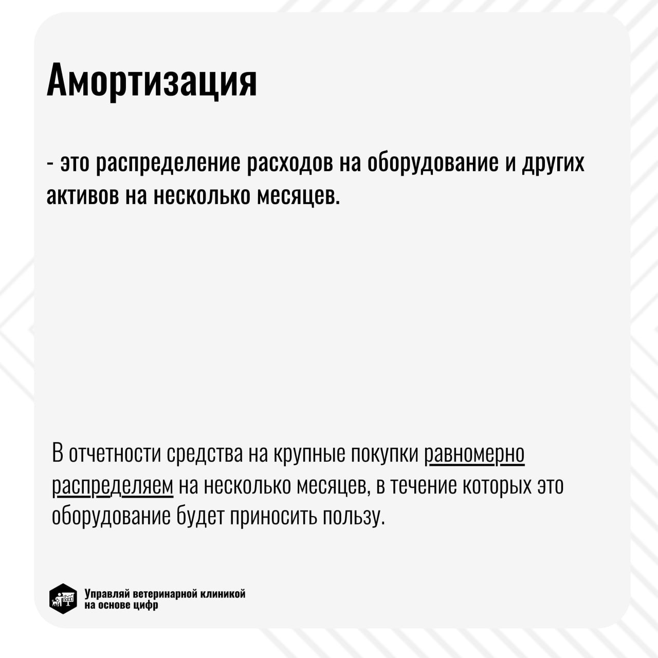 Прибыль в ветеринарной клинике = Поступления - Расходы? Не так просто!
Не забывайте учитывать кассовые разрывы, возникающие из-за дорогостоящего оборудования и внезапных операций | Сетка — социальная сеть от hh.ru