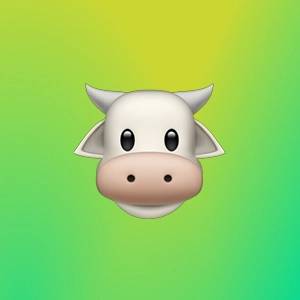 Наталья Романова | Сетка — социальная сеть от hh.ru