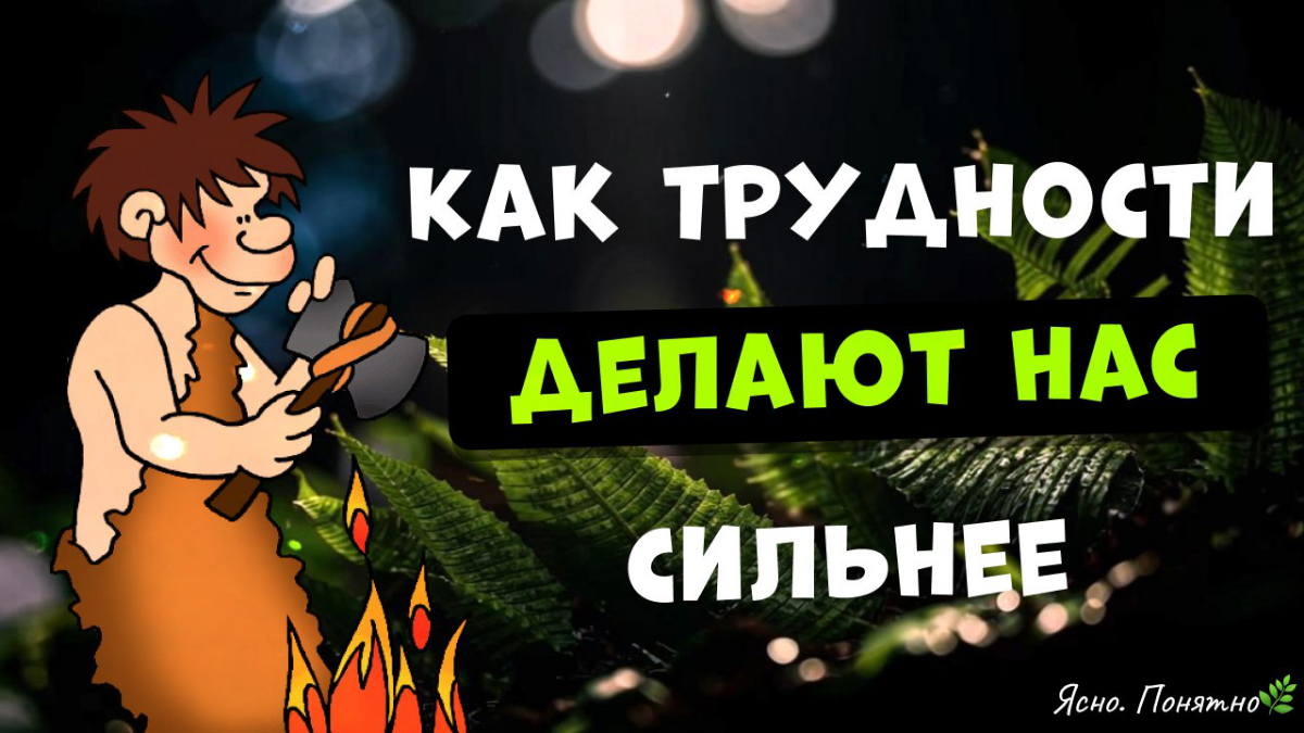 Проблемы — это не баги жизни, а фичи | Сетка — социальная сеть от hh.ru