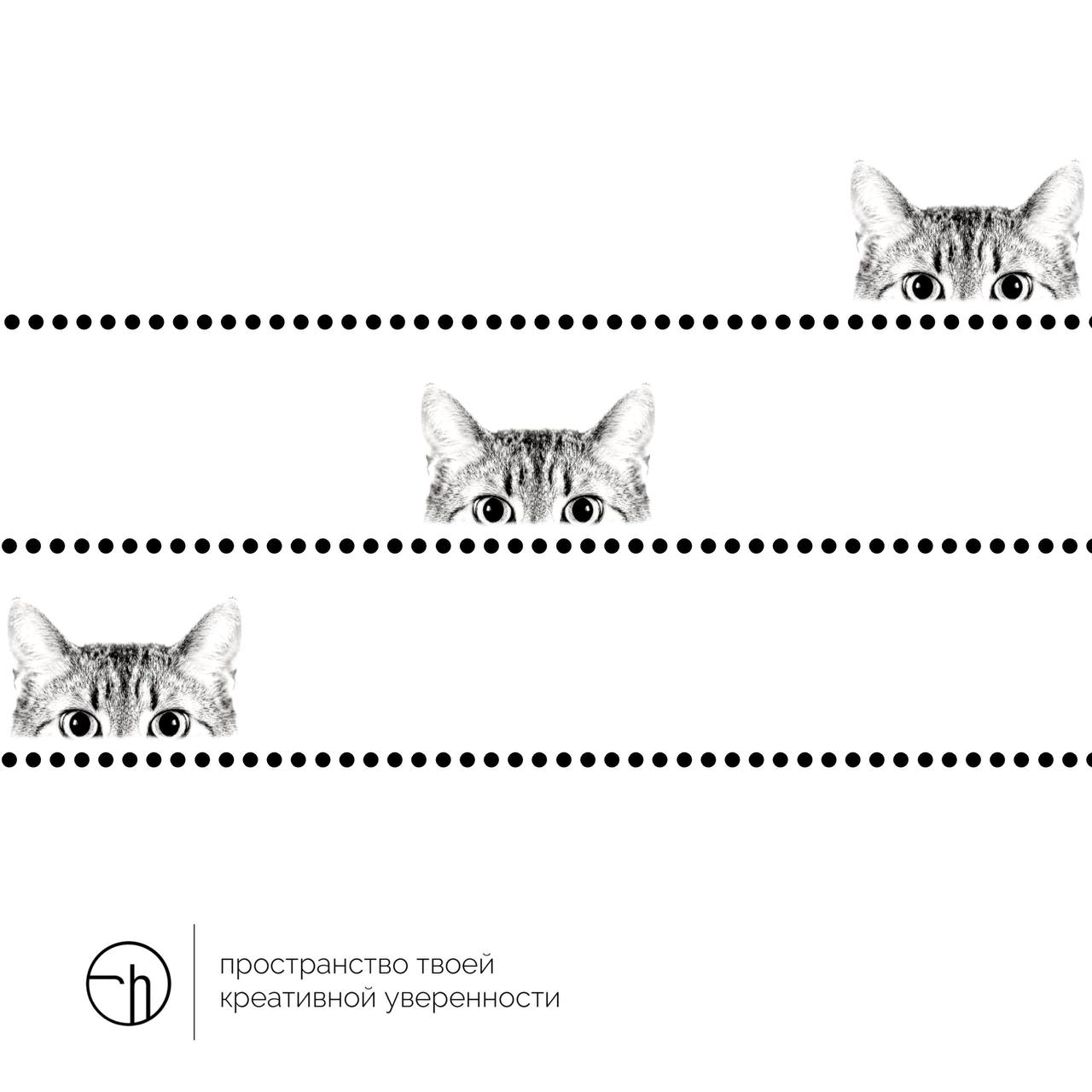 Если на вас смотрит котик, выглядывая из-за пунктирной линии, да ещё и не один, а целых три, то это пятница посылает вам намёки на то, что… Что же посылает вам пятница в пятницу с помощью выглядывающи... | Сетка — социальная сеть от hh.ru
