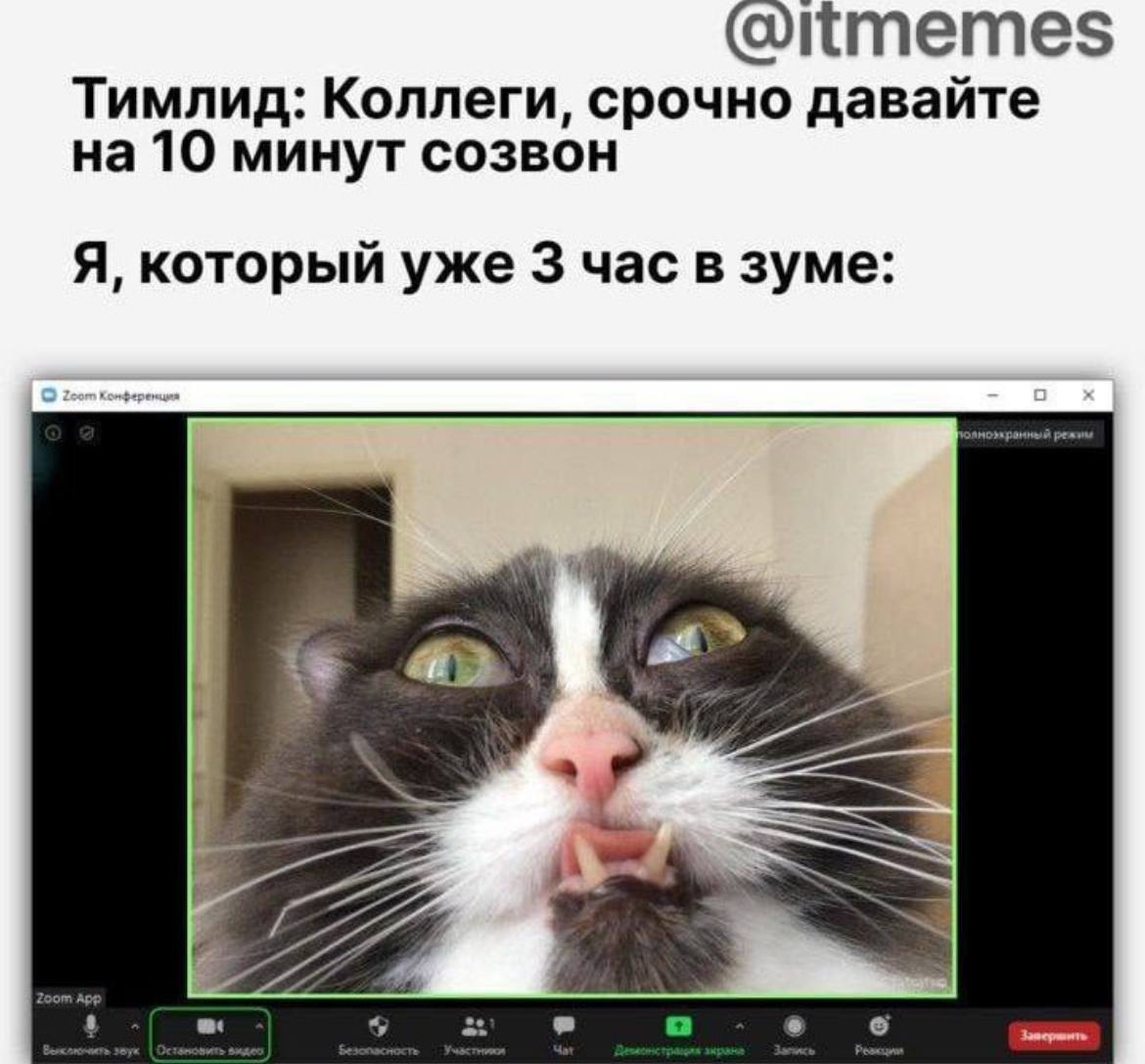 Доброе утречко 😂
пятничные #мемчики | Сетка — социальная сеть от hh.ru