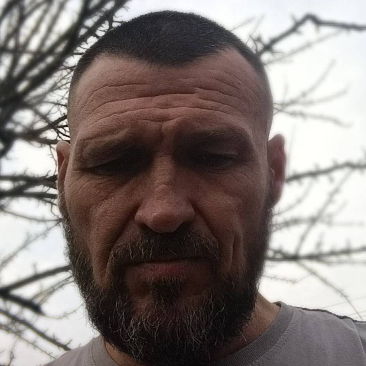 Александр Сибилев