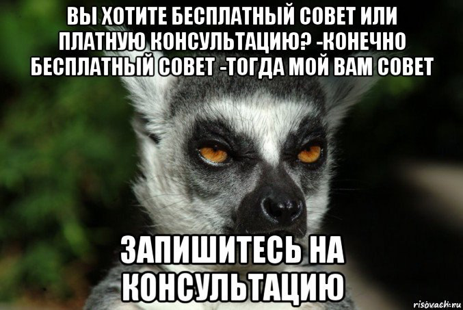 Почему я больше не занимаюсь маркетинговой благотворительнос | Сетка — социальная сеть от hh.ru