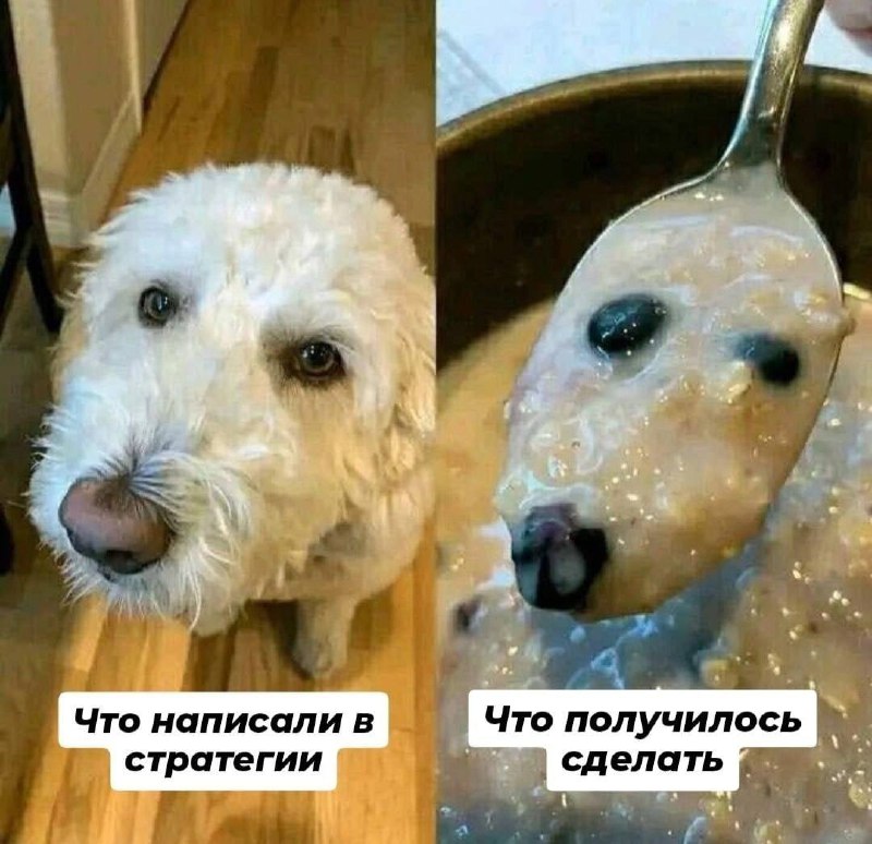 Думаете, прокатит запостить котика и ждать миллион лайков? Серьезно?🤦‍♂️
Погнали разбирать ОШИБКУ №3 – отсутствие стратегии | Сетка — социальная сеть от hh.ru