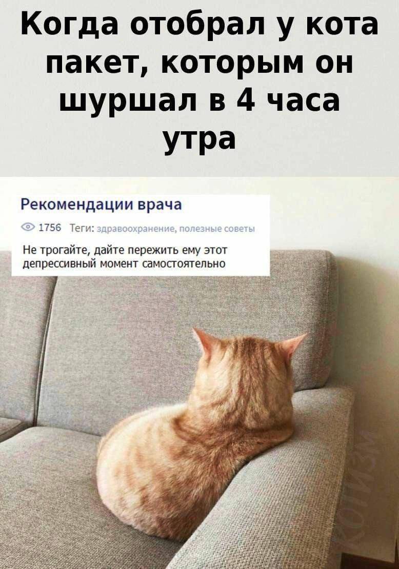Нет, ну когда смешно – тогда смешно 😎 | Сетка — социальная сеть от hh.ru