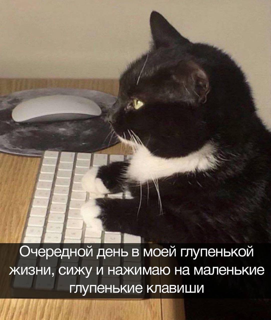 Нет, ну когда смешно – тогда смешно 😎 | Сетка — социальная сеть от hh.ru
