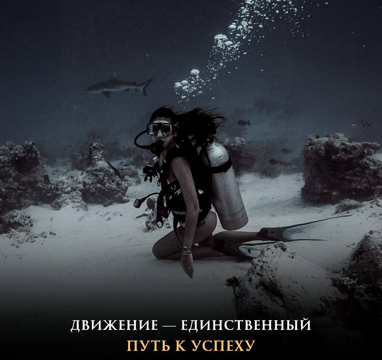 «Ты должен стать акулой в своём деле»Многие слышали эту фразу, но мало кто знает отличительную особенность акул...
У них нет плавательного пузыря, как у других рыб | Сетка — социальная сеть от hh.ru