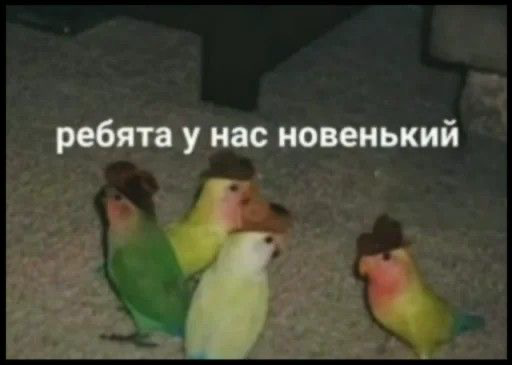 Новенькие каналы вашему вниманию | Сетка — социальная сеть от hh.ru