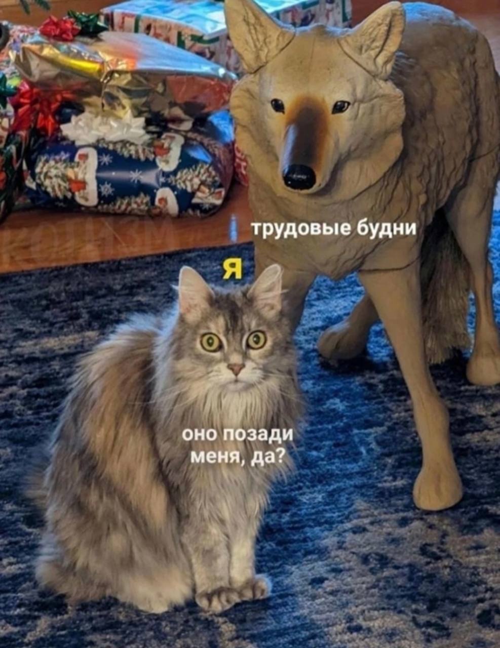 Выдыхайте, сегодня пятница, оно ушло 😃 | Сетка — социальная сеть от hh.ru
