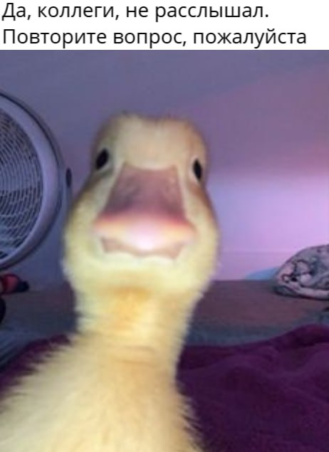 Опа мем | Сетка — социальная сеть от hh.ru