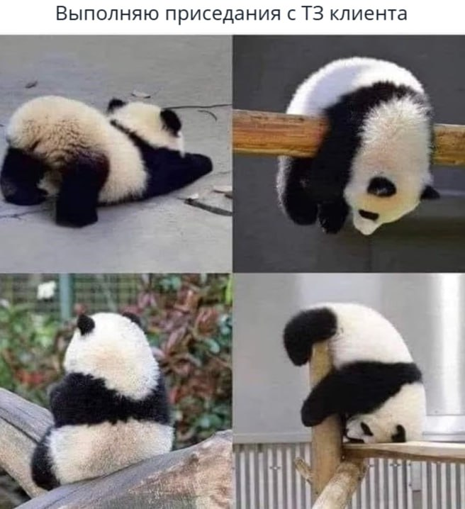 Опа мем | Сетка — социальная сеть от hh.ru