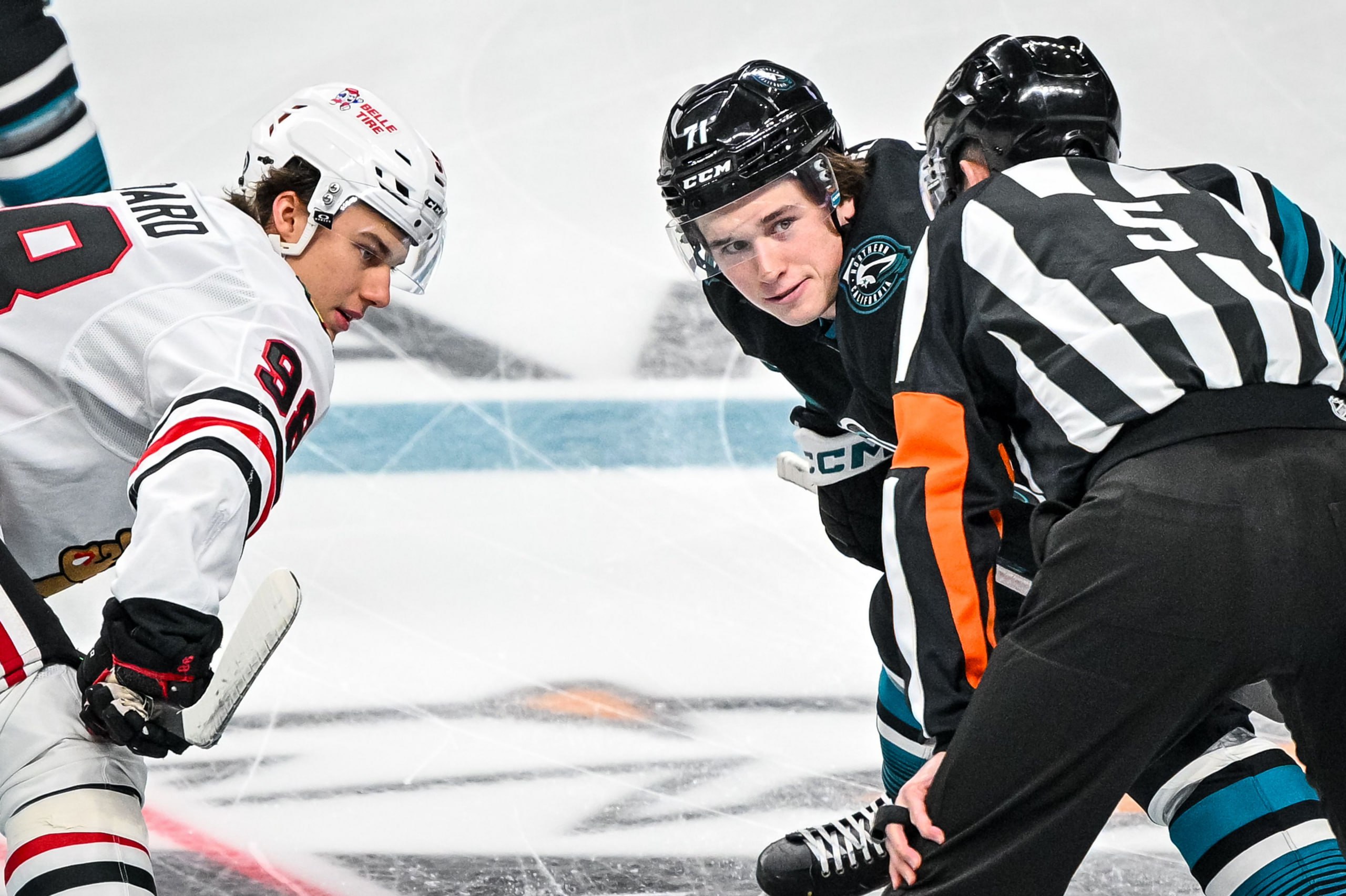 🏹 VS 🦈 Прошедшей ночью состоялась первая очная встреча Коннора Бедарда и Маклина Селебрини
Два первых номера драфта последних двух сезонов впервые сошлись в очном противостоянии | Сетка — социальная сеть от hh.ru