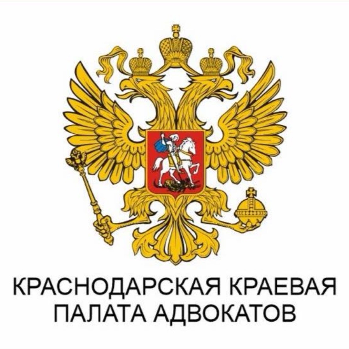 Сусанна Галимова | Сетка — социальная сеть от hh.ru