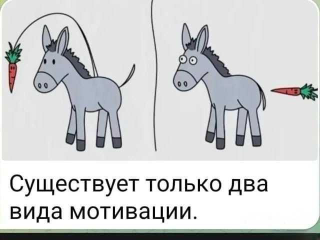 А какая система мотивации в вашей компании? 😅 | Сетка — социальная сеть от hh.ru