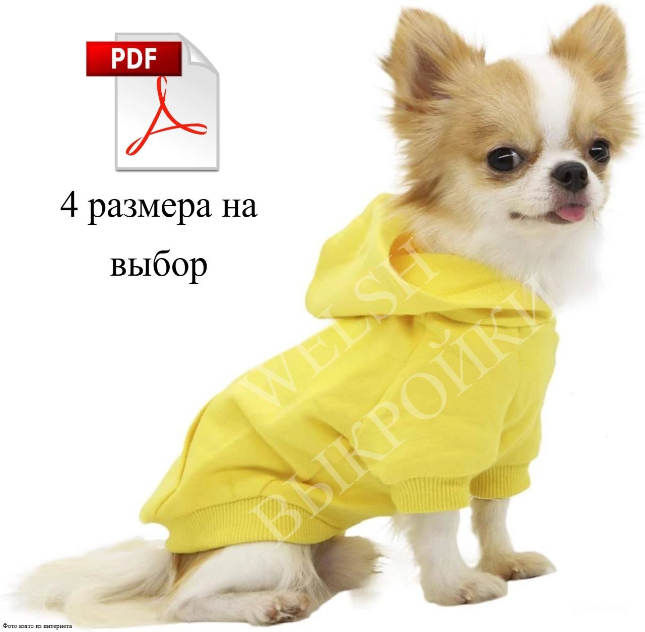 🐶 Выкройка свитшота для ЧИХУАХУА 🧵
Размер ХXS
📏 Длина спинки: 21-23;
🧶 Обхват груди: 29-31
Размер ХS
📏 Длина спинки: 26-27;
🧶 Обхват груди: 34-37
Размер S
📏 Длина спинки:28-31;
🧶 Обхват груди: 40-43
Р... | Сетка — социальная сеть от hh.ru