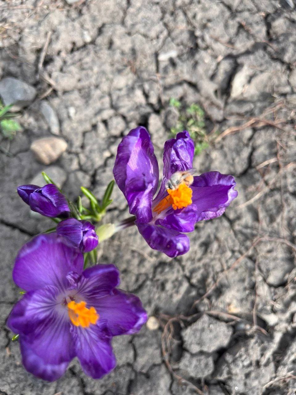 🌺 Весна в Ставрополе
📷 aestheticsstav
@stavropolyevibe | Сетка — социальная сеть от hh.ru