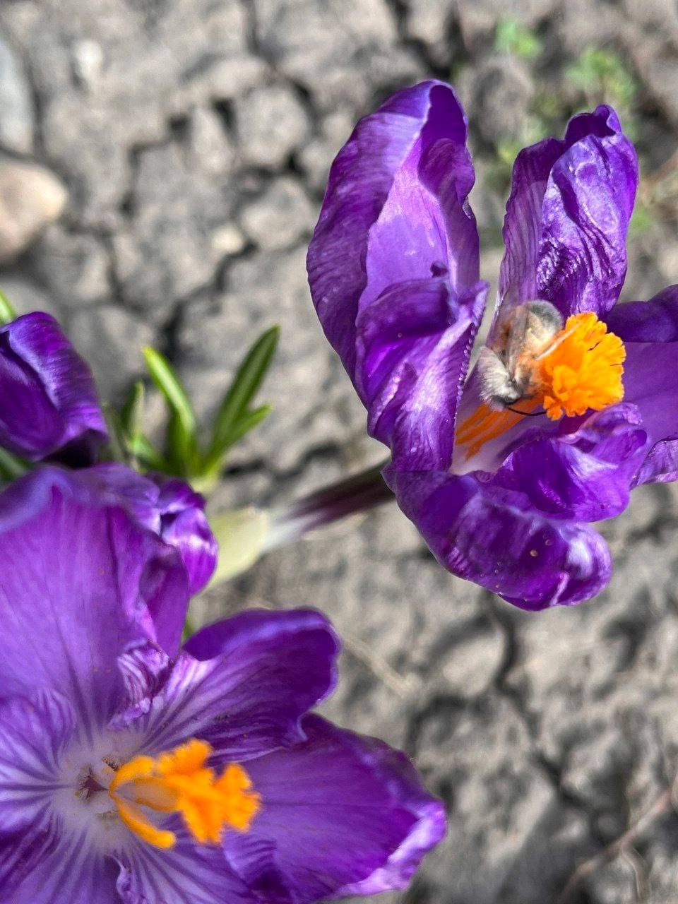 🌺 Весна в Ставрополе
📷 aestheticsstav
@stavropolyevibe | Сетка — социальная сеть от hh.ru