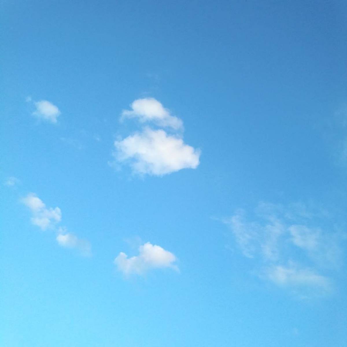 Алёна Балам