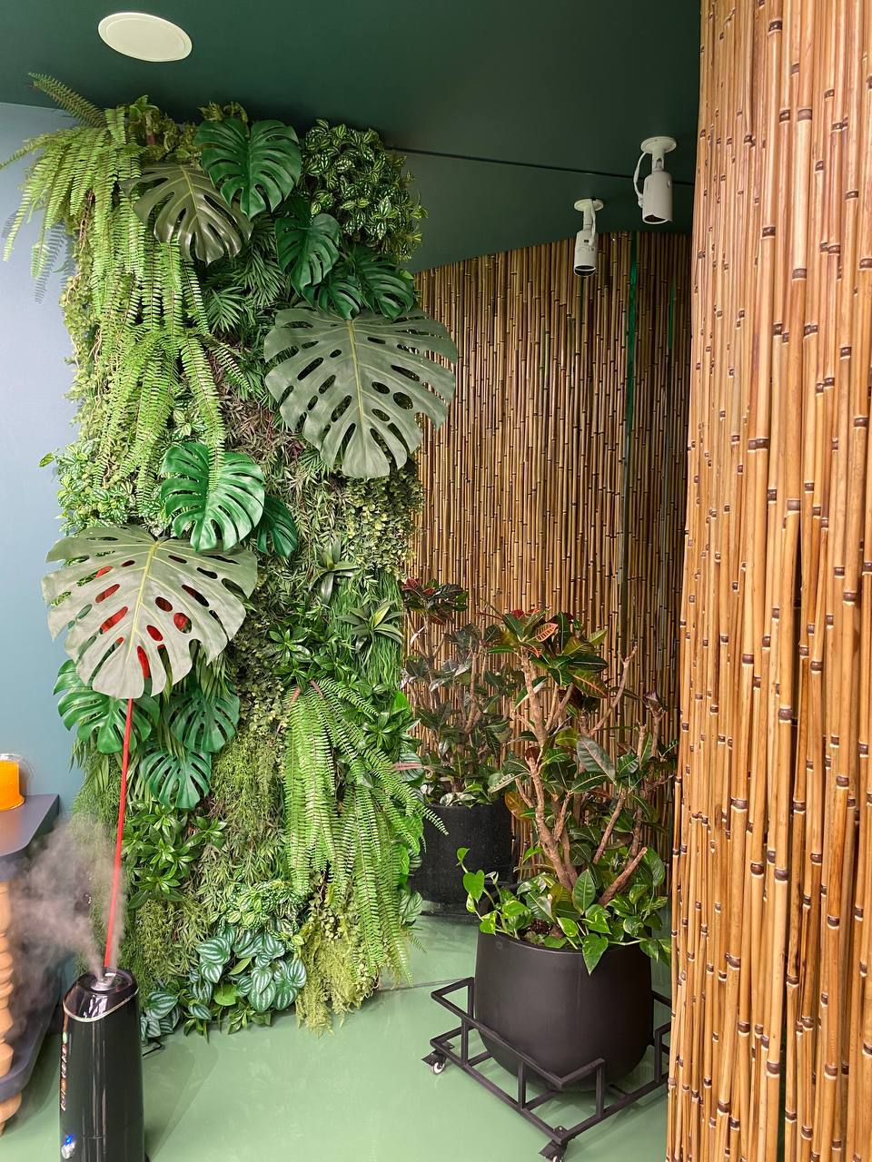 Какие виды озеленения существуют?
Давайте вместе разберемся
🌿 Основные виды озеленения
✅ Вертикальное озеленение – живые или искусственные фитомодули, зеленые стены и лианы | Сетка — социальная сеть от hh.ru
