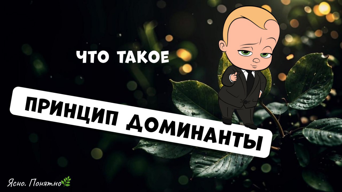 Просто о сложном: Принцип доминанты | Сетка — социальная сеть от hh.ru