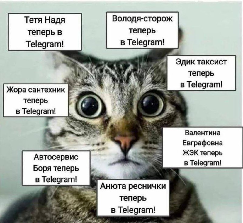 А кто ты в телеграм? 😁 | Сетка — социальная сеть от hh.ru
