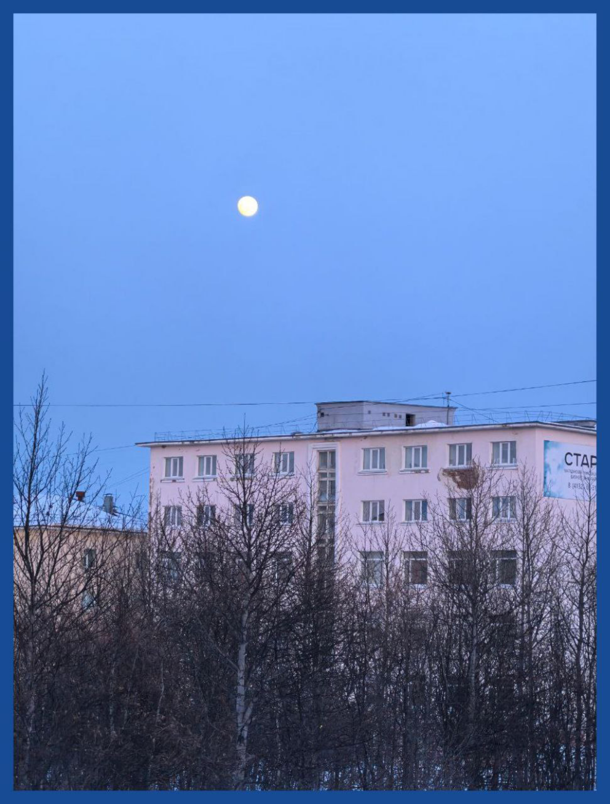 Замри / Be still | Сетка — социальная сеть от hh.ru