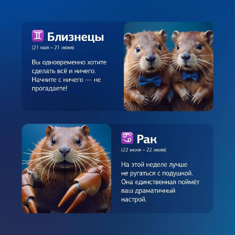 Сделали симпатичный гороскоп для ББР Банка 😍 | Сетка — социальная сеть от hh.ru